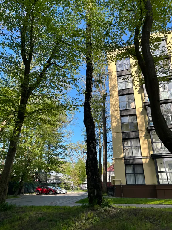 Квартира Апартаменты с видом на парк — Светлогорск