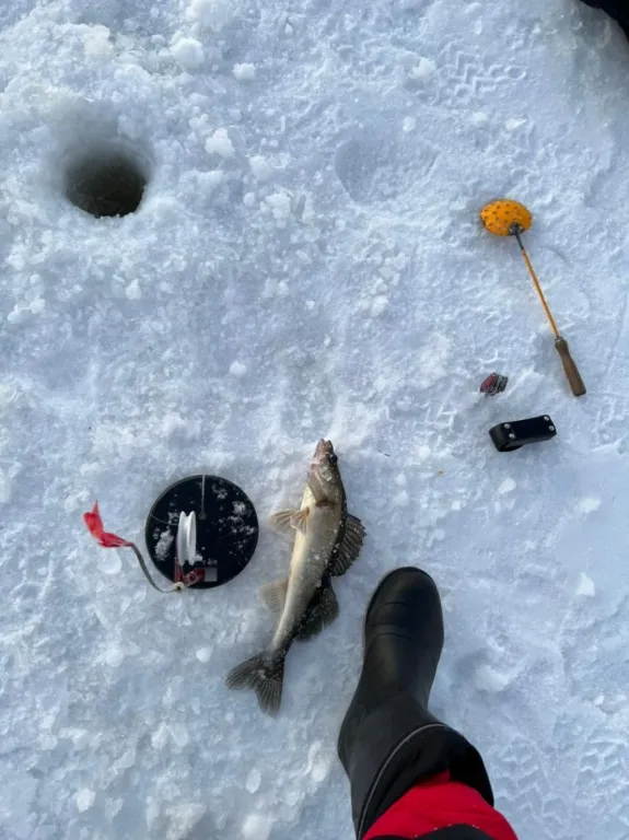 Коттедж Дом с баней, банным чаном, детской площадкой и батутом у озера в сбору — Ланино