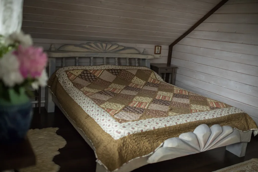 Дом Терем в усадьбе Галат