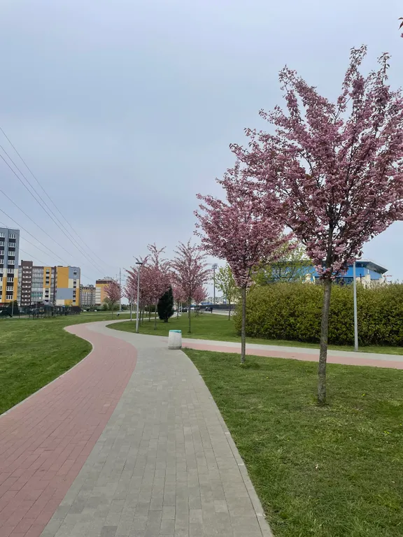 Квартира Комфортные апартаменты в престижном районе с развитой инфраструктурой — Калининград