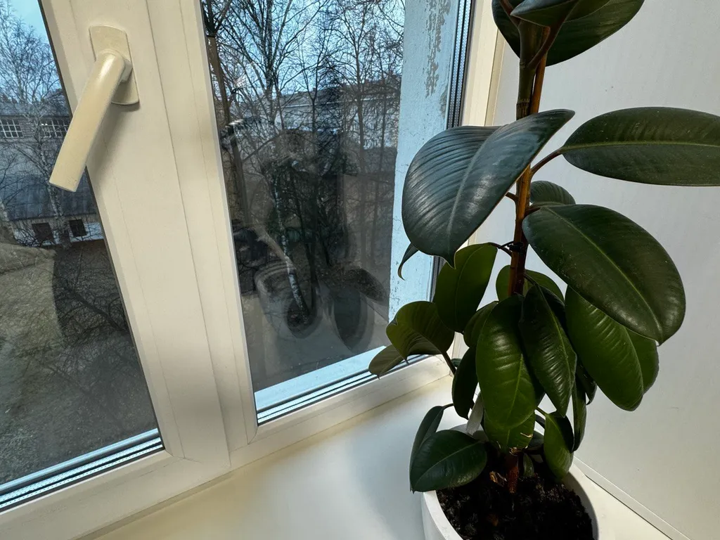 Квартира в самом центре