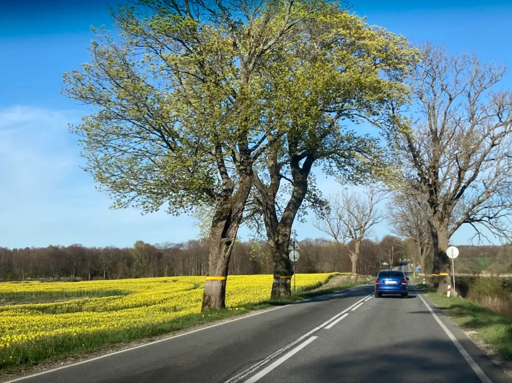 Коттедж Отдельный домик с террасой и зоной барбекю — Калининград