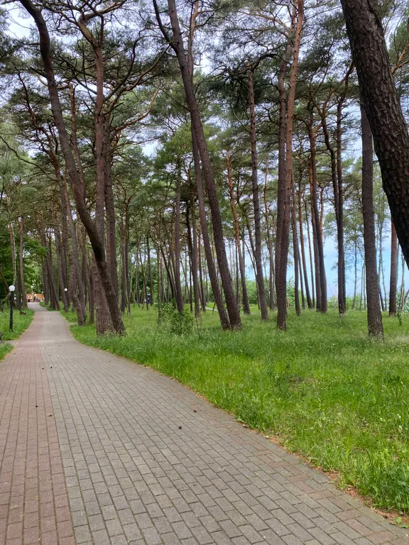 Уютная квартира в 15 минутах от Балтийского моря