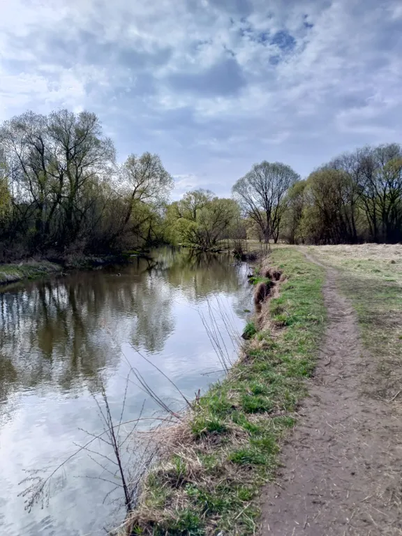 Коттедж Домик в лесу — Александров