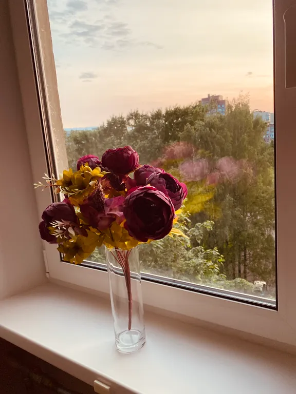 Квартира рядом с больницей НМИЦ ТО  им. Р.Р. Вредена