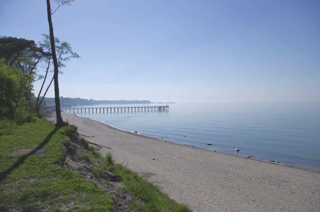 Комната с выходом на лужайку