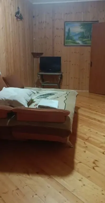 Квартира для большой компании