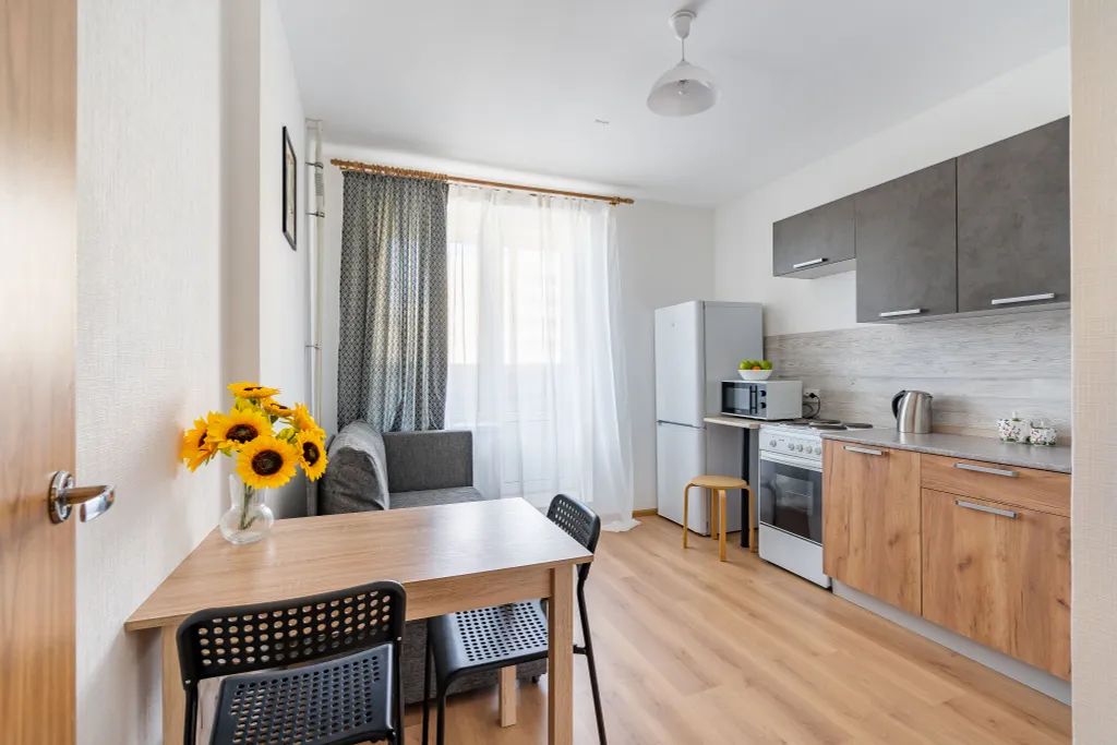 Квартира 1-комнатная Квартира — Песочный