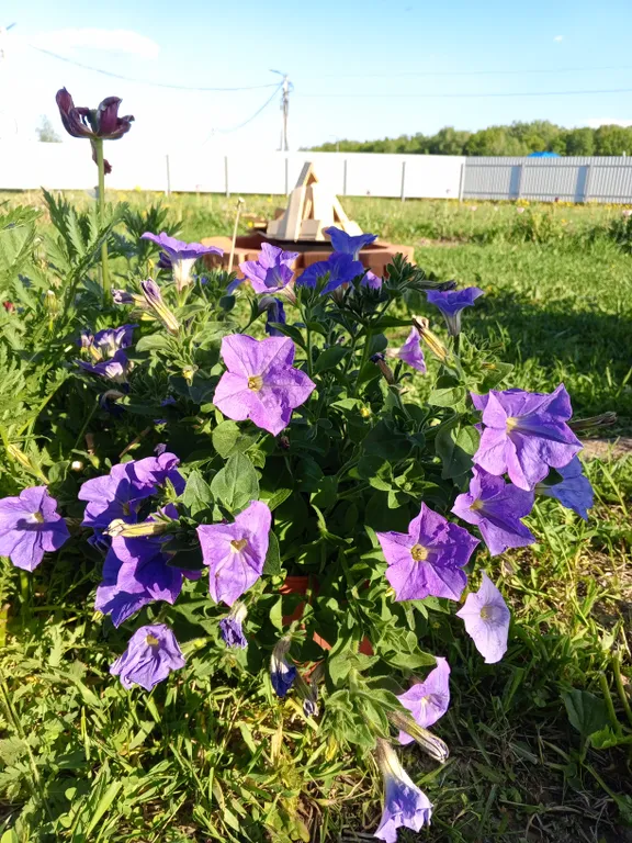 Домик Робинзона