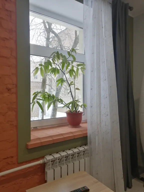 Студия в центре города