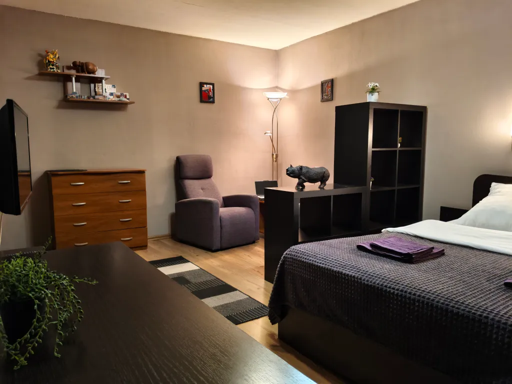 Просторная квартира с балконом в центре