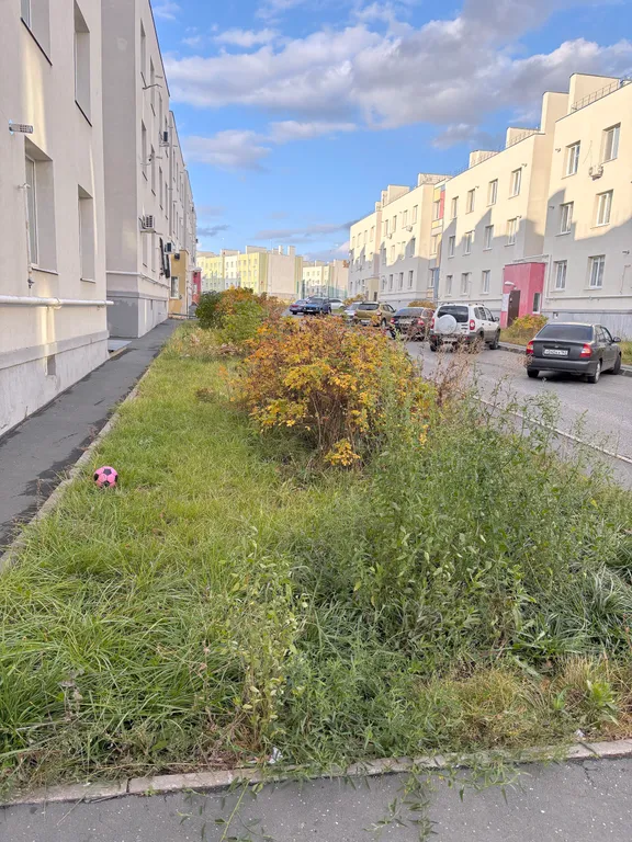 Светлая евро-двушка в Кошелeв парке. Для семьи или для работы.