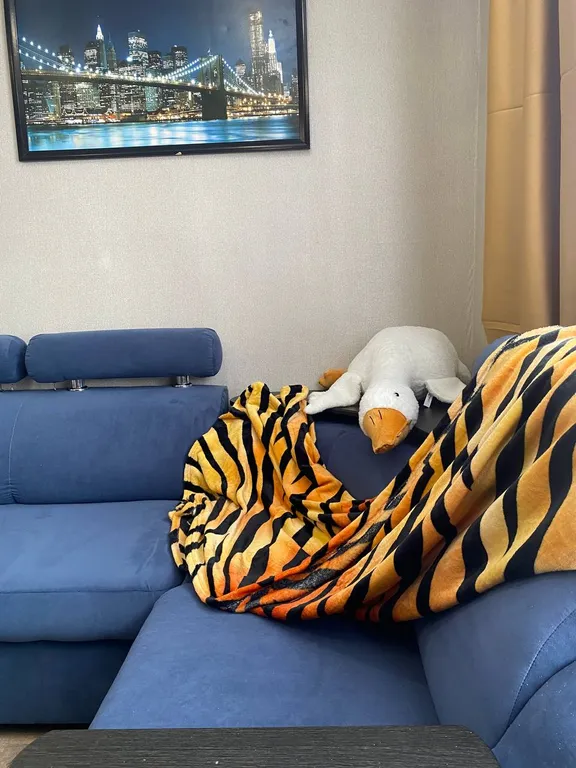 Трехкомнатная квартира у стадиона