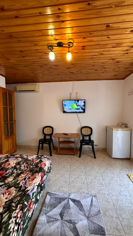 Благоустроенная комната с террасой