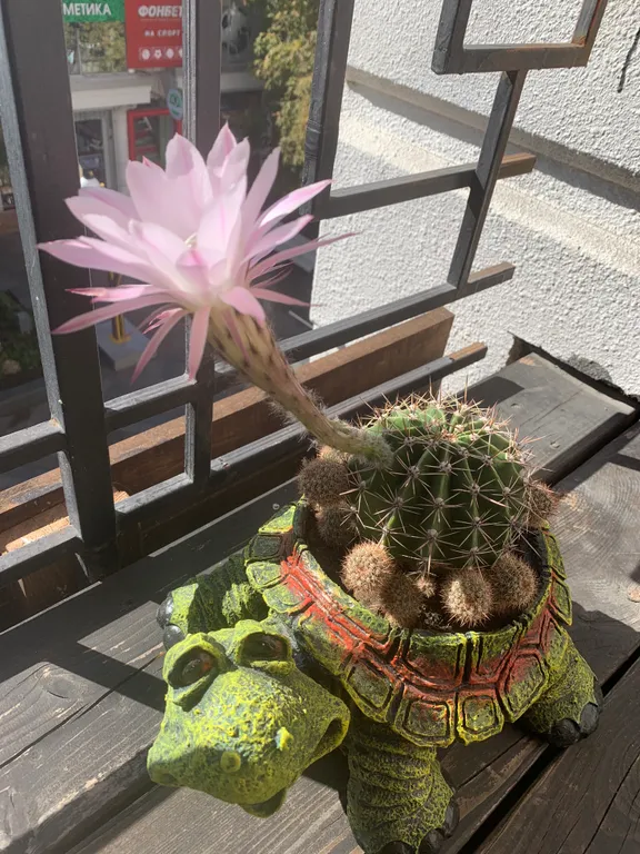 Апартаменты возле Набережной