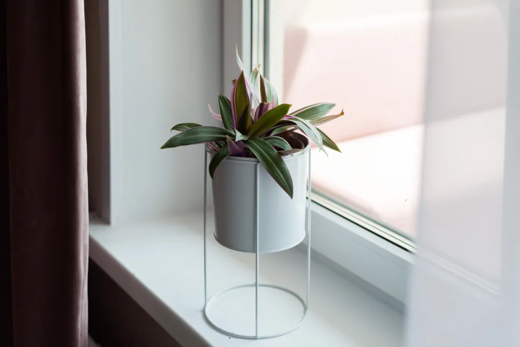 Апартаменты класса люкс с кондиционером