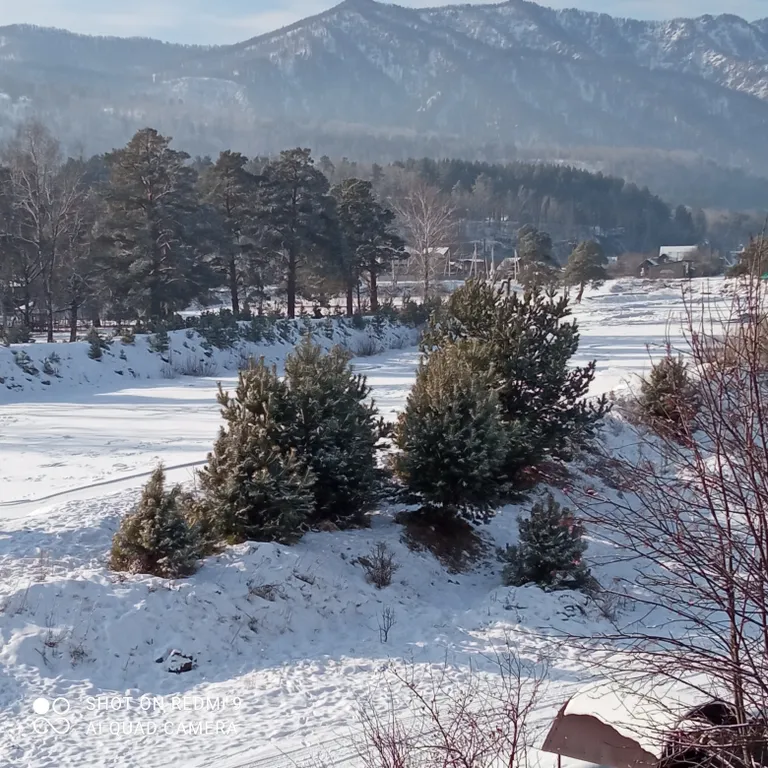 Дом с видом на реку
