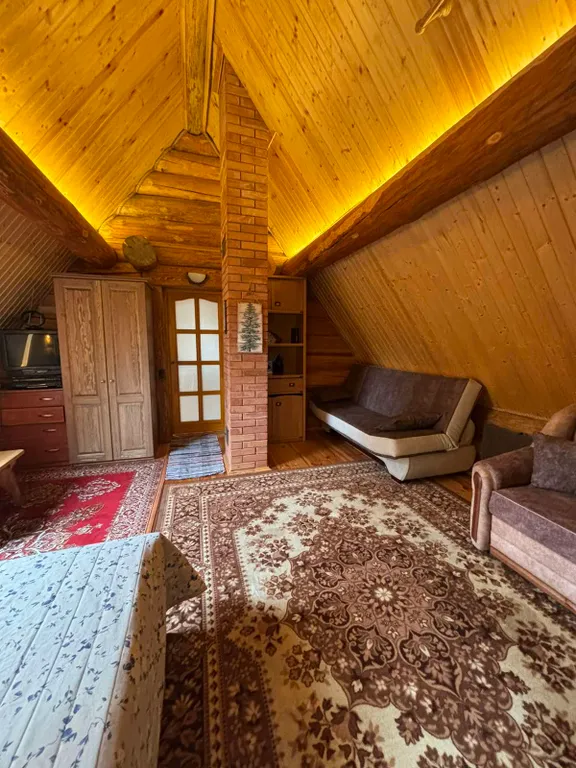 Дом с печью у Нарочи