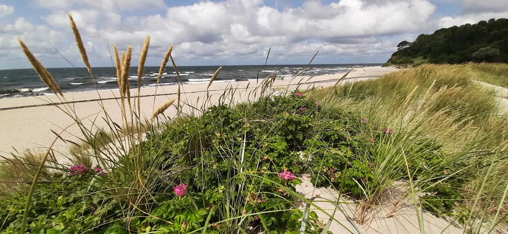 Sunsethouse - апартамент №2 с большой террасой с видом на море