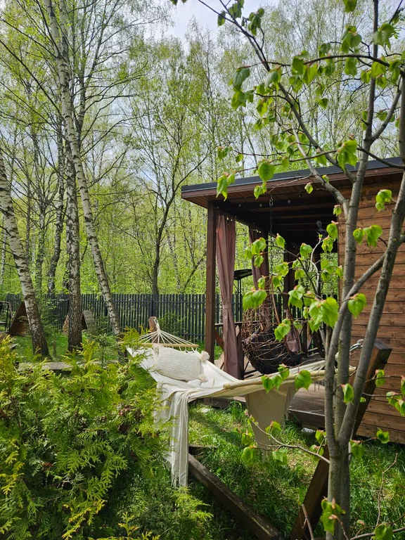 Красивые панорамные домики около леса