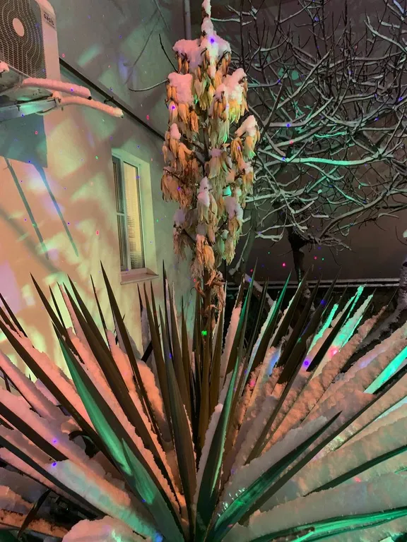 MilayDom, двухэтажный отдельно стоящий дом