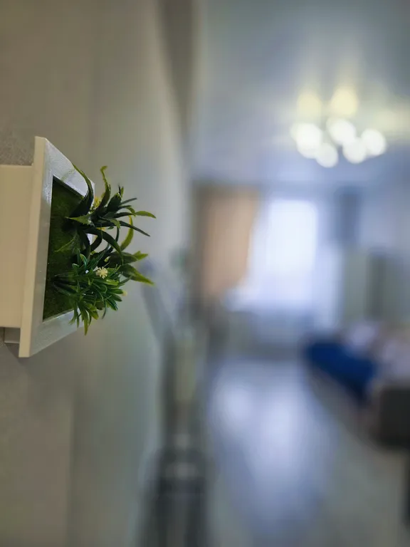 Студия около БСМП