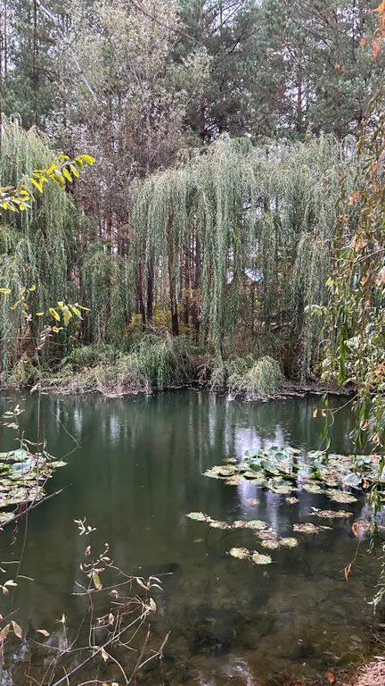 Коттедж Дом в Боровых — Казань