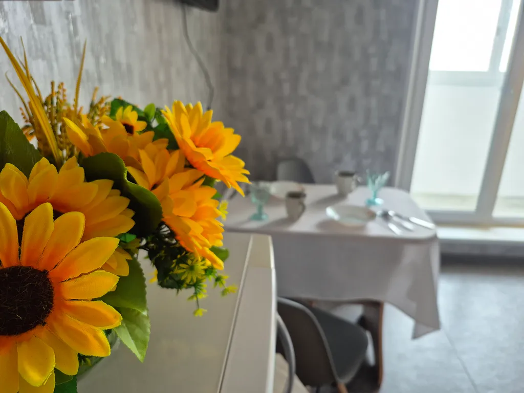 Студия в центре рядом с рекой