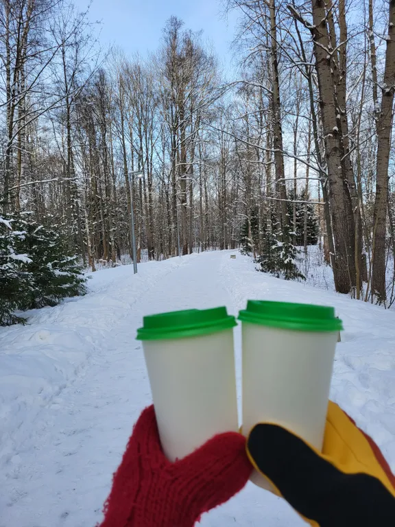 Стильный дом у озера Разлив