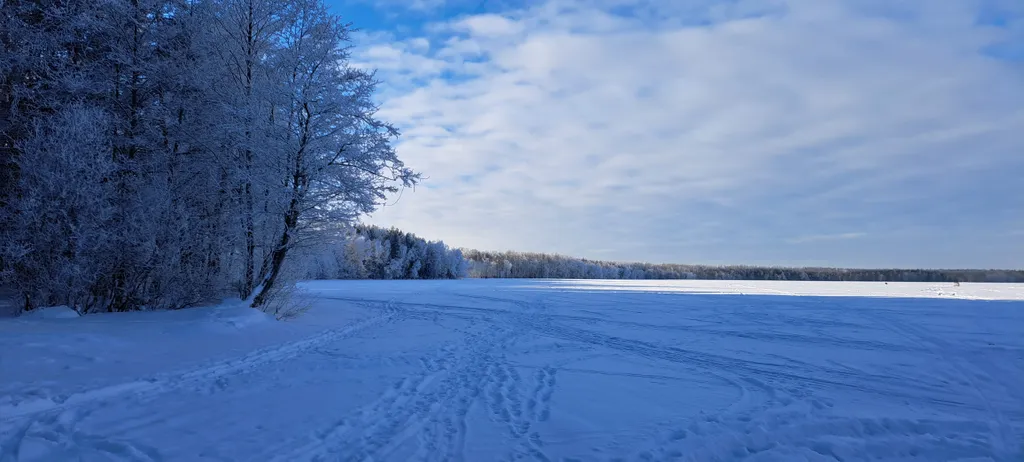 Дом в дубах