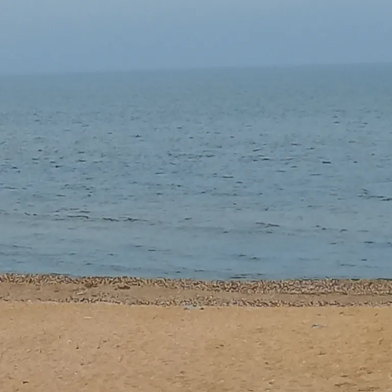 Квартира рядом с морем