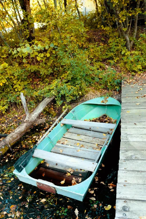 Уютный гостевой дом в лесной зоне