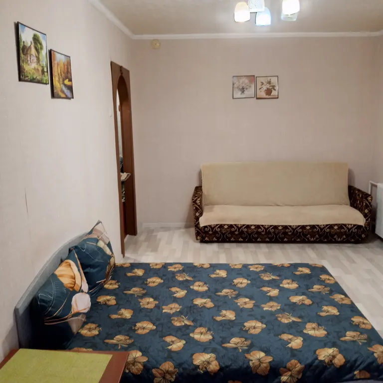 Уютная однокомнатная квартира