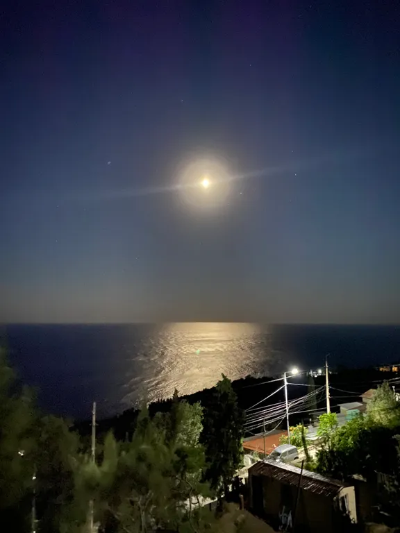 Номер с видом на море и Воронцовский дворец