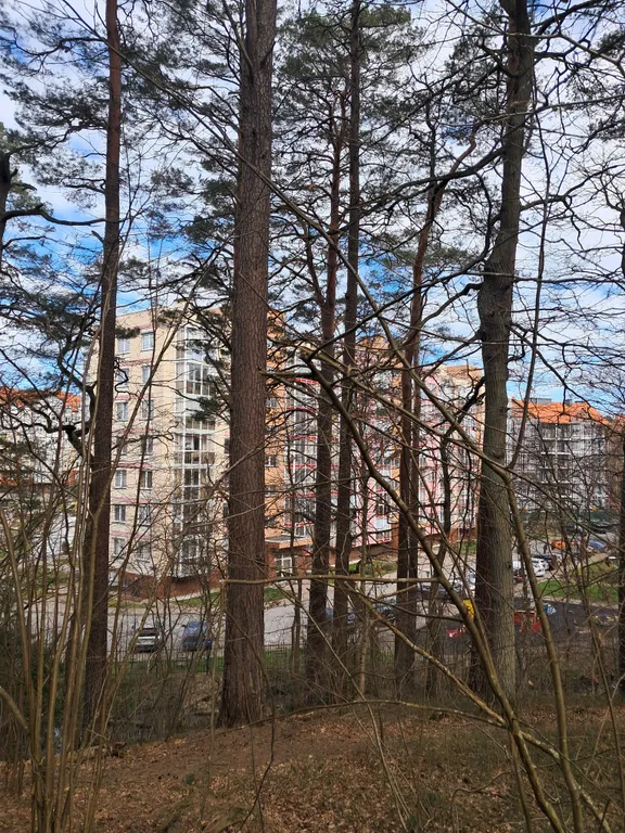 Квартира Квартира у озера — Светлогорск