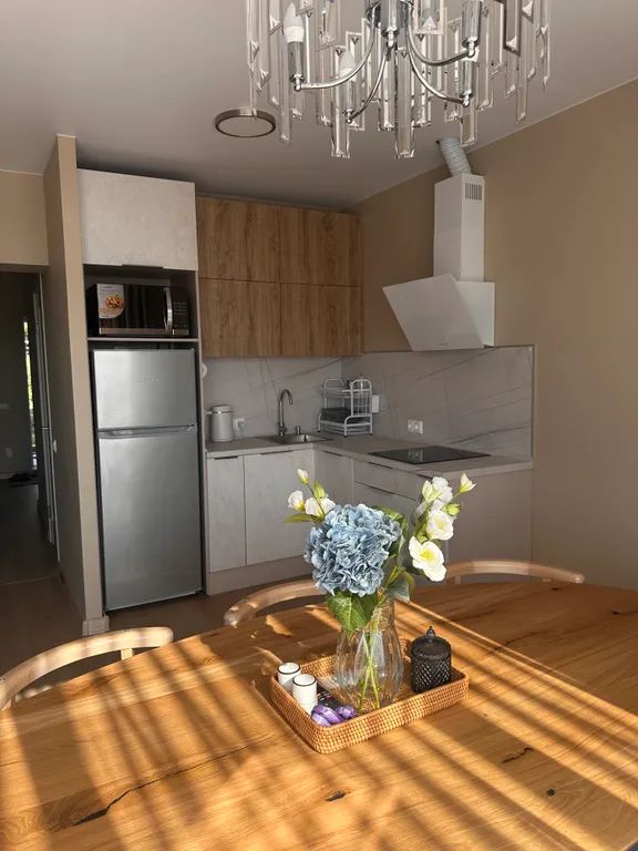 Апартаменты в загородном доме стризнево