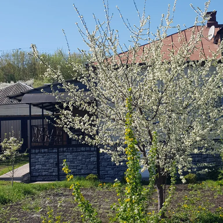 Уютный домик с участком на берегу реки