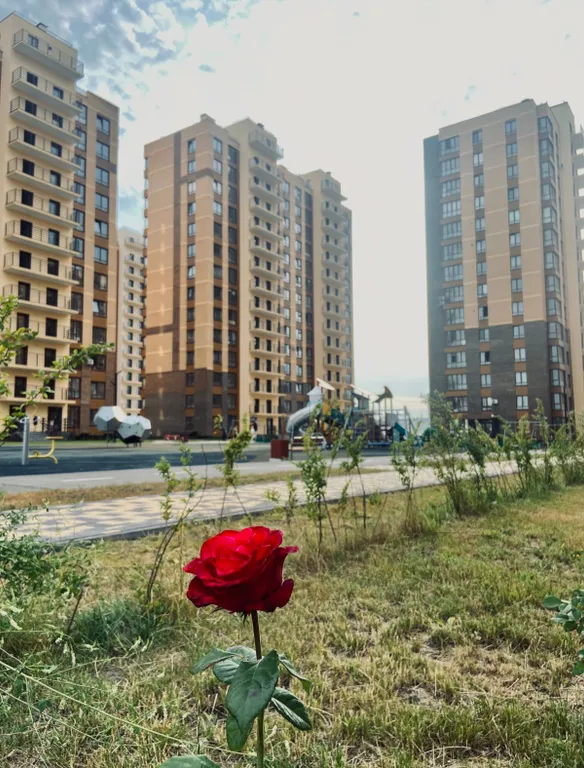 Стильная евродвушка в ЖК Суворовский