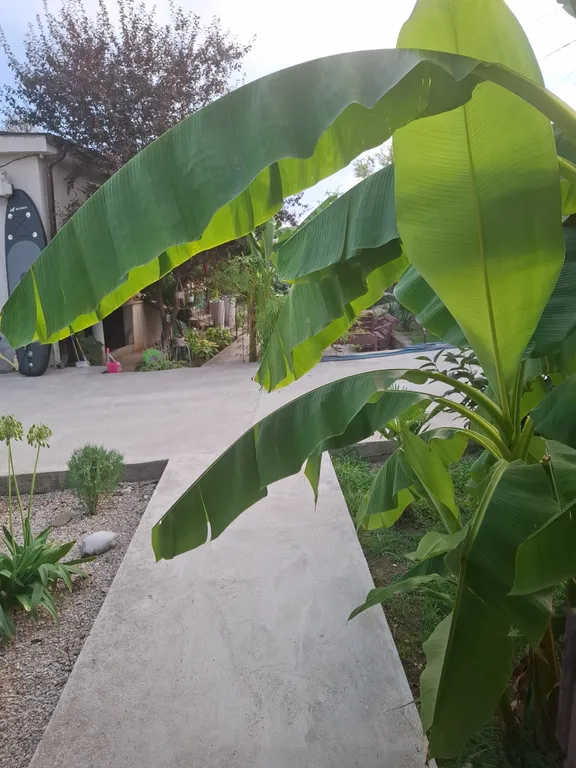 Стильный лофт-домик у моря