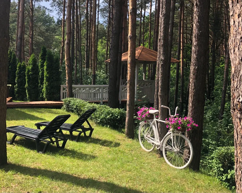 Уютный номер в гостинице в сосновом лесу и на берегу озера