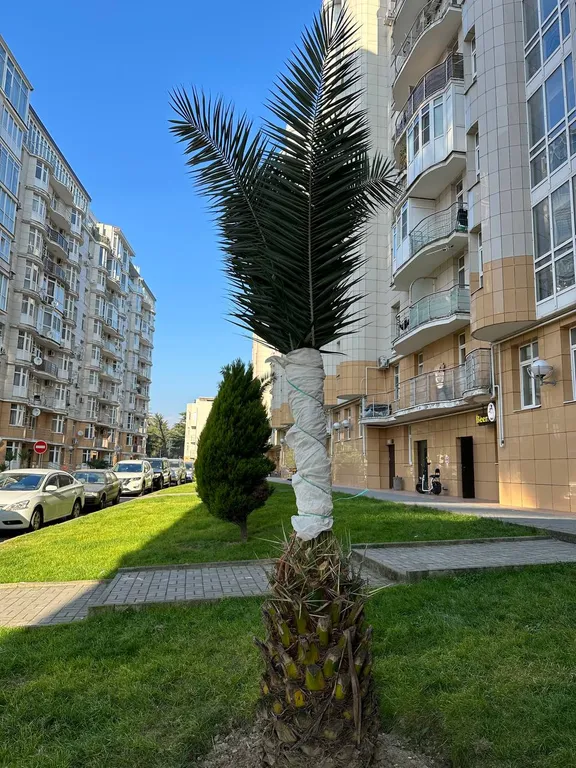 Апартамент Солнечный возле парка Южные культуры