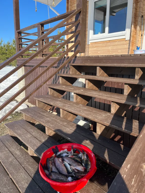 Коттедж 3-комнатный Дом — Маслозеро