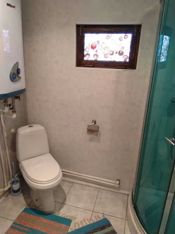 Дом в сосновом бору на озере Селигер