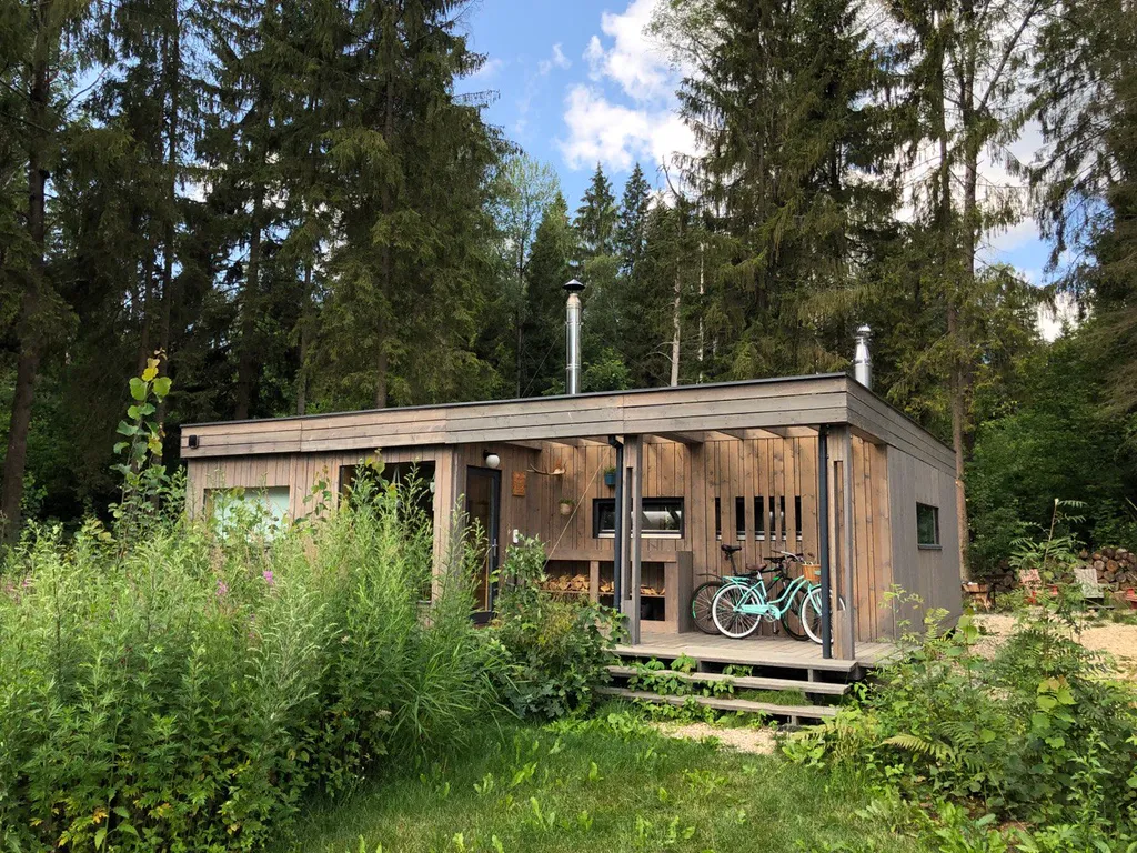 Уютный дом в тишине хвойного леса