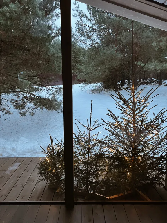 Коттедж Дубль дома с панорамными окнами на сосны — Семеновское