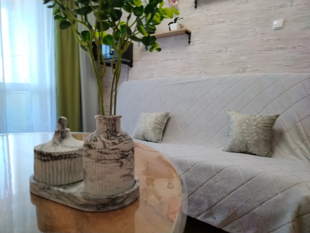 Квартира Квартира Rubanova home просторная однокомнатная олива метро речной вокзал — Новосибирск