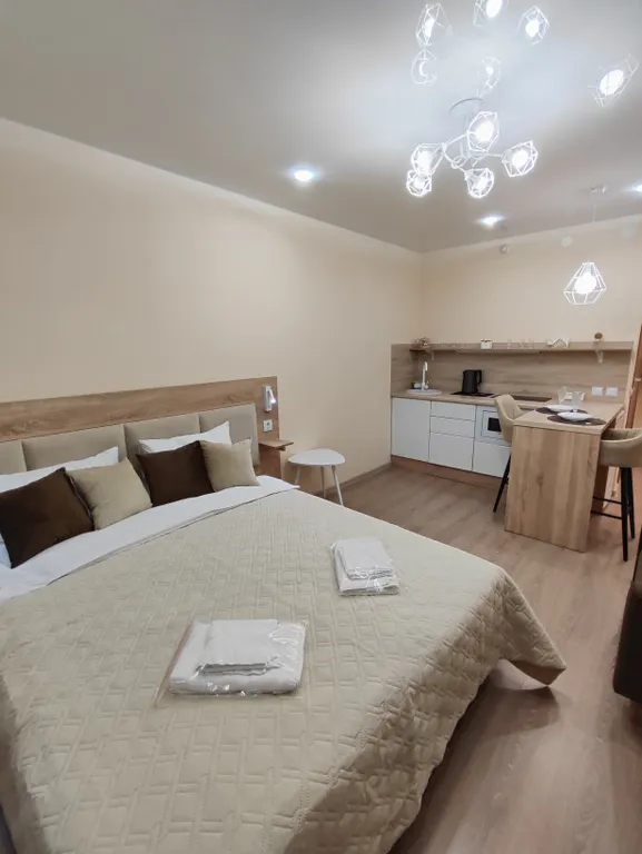 Современная квартира - студия с видом на новый мост