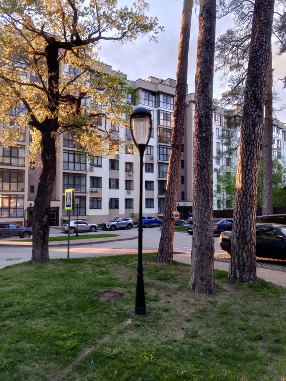 Апартаменты в сосновом лесу