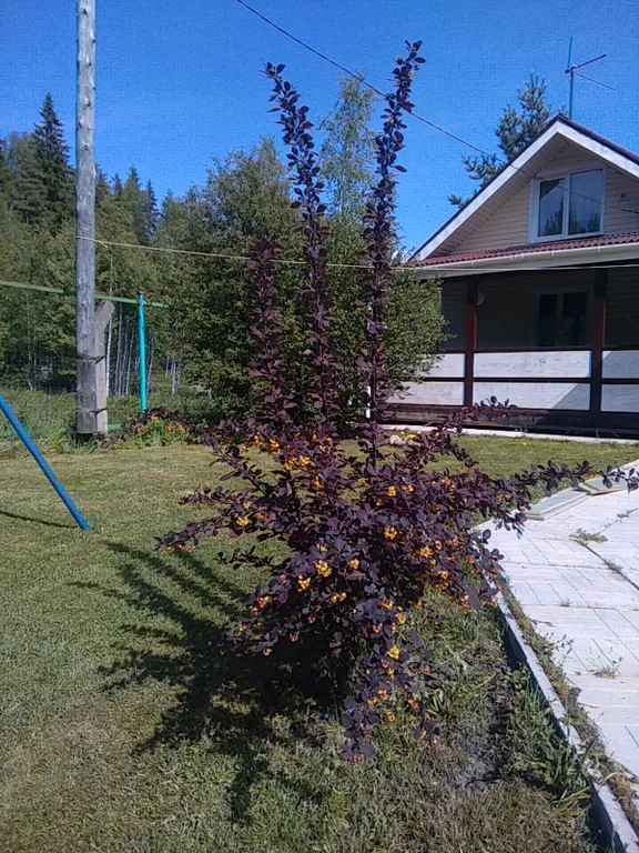 Уютный коттедж у озера недалеко от Выборга и границы