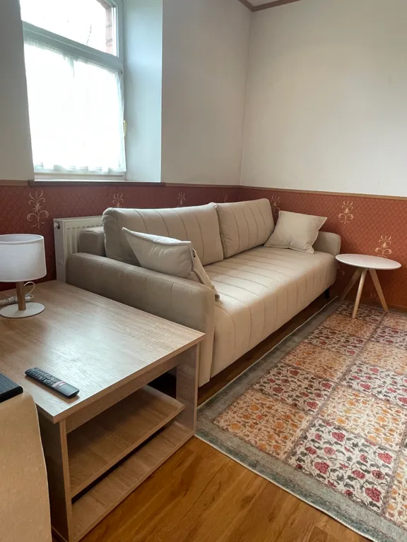 Просторные апартаменты с беседкой